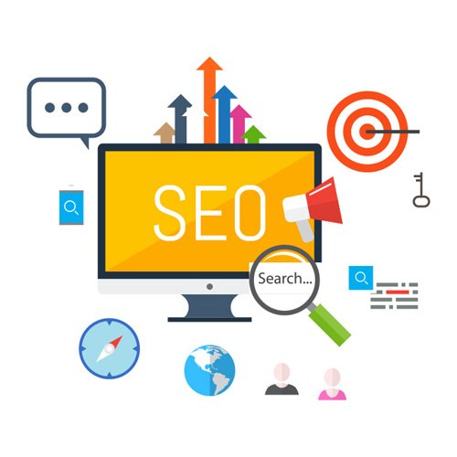 SEO Services Company in Delhi NCR