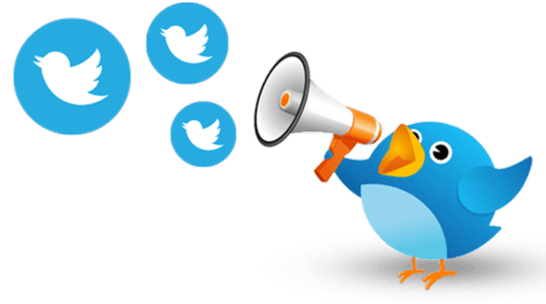 Twitter Ads Agency Delhi